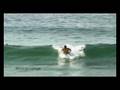 videos de DWV Roadtrip 2008 - WSG Tag 4