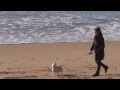 Rula Jugando 2 P.A. - YouTube