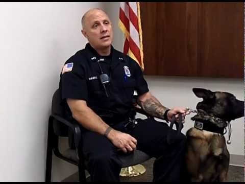 how to become a police officer