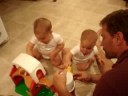 Shep and Jay with farm