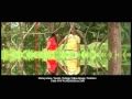 Ammanilavu videos.