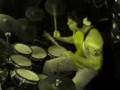 GODSMACK - Greed - DRUM Cover
