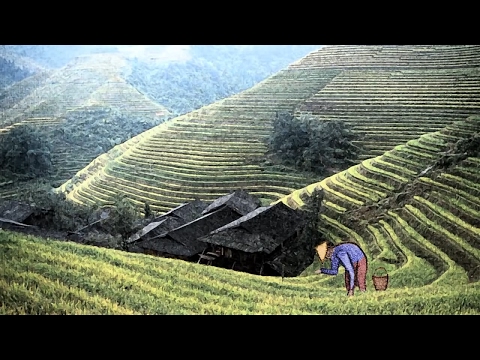 Alan Watts: The Story of the Chinese Farmer