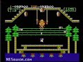Donkey Kong 3 - NES Gameplay Donkey Kong 3 - NES Gameplay