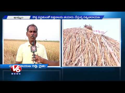 Innovative Cultivation | Farmer Invents 30 Kinds Of Rice Strains | Khammam | V6 News