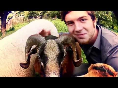 Youtube Video sWmxdxUnmCY