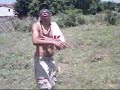 OS FEDERAIS OS FEDERAIS