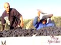 Helen Turley: Marcassin Pinot Noir Helen Turley: Marcassin Pinot Noir
