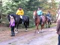 Recreatie ritje op een paard in Wanroij