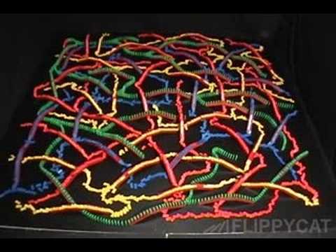 2923 dominos and a cat.