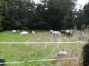 La rando du 23 et 24 aout au gué petiton La rando du 23 et 24 aout au gué petiton