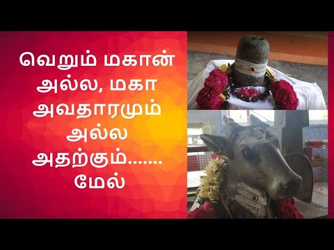 jallikattu kavithai in tamil jallikattu kavithai in tamil