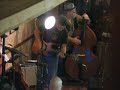 Alley Cat by THE REVELATORS