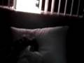 The Bonanzabar's Farewell And Goodnight Part 6