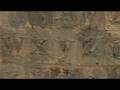 Jasper Johns : Gray