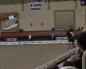 championnat de france dressage saumur 2006. pauline ferriere et tapage gagnent le championnat b.