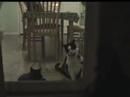 lolcat: Washin ur windos