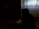 el exorcismo de Yuya Rouse el exorcismo de Yuya Rouse