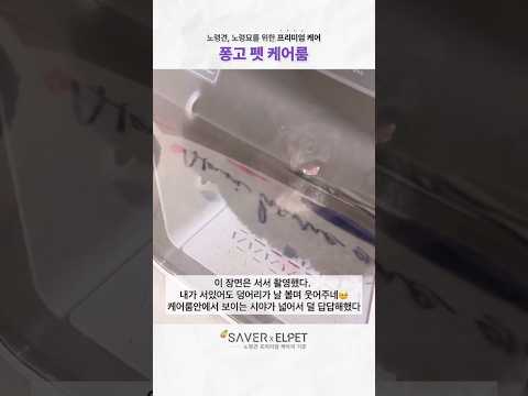 낯선 공간에 불안할까 걱정했는데...