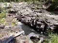 The Rogue River Natural Bridge
