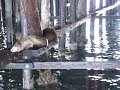 santa cruz trip