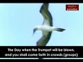 surah naba