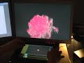 Boids in Jitter Boids in Jitter