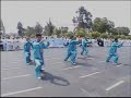 Nei Kung Chen Taijiquan