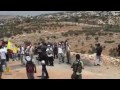 Some Italians have made it their mission to mobilise support on behalf of the Palestinian cause.