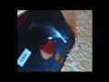 20W laser burning a diskette