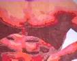 Peinture, fresque, dessin