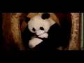 Amor-incondicional