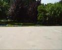 Jumping Alga