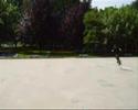 Jumping Alga