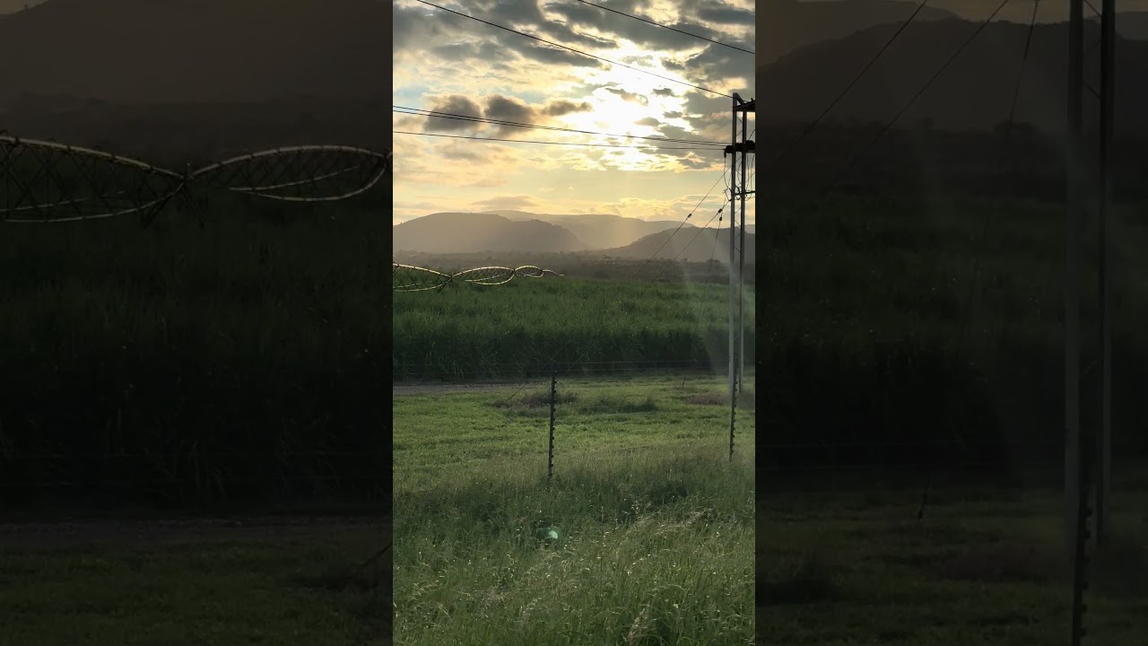 Visita África do Sul BRSense