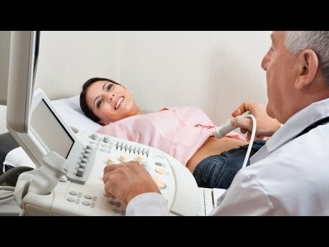 how to fertilize gecko eggs