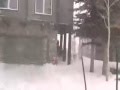 videos de Mammoth