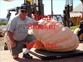 2008 Uesugi Farms California Giant Pumpkin Weigh-Off