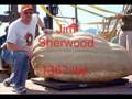 2008 Uesugi Farms California Giant Pumpkin Weigh-Off