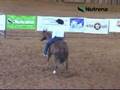 Working Cow Horse at its Best with Monty Bruce