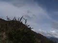 Rodada a paramo de Guasca