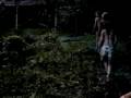 PARADISE LOST