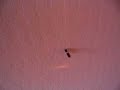 Instructables - Magnetic studfinder