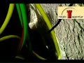 Permakultur Balkongarten Hydrokultur