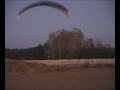chispita volando