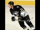 Penguins video