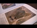 Book Review: Lighting Book Review: Lighting