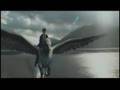 Fly (HP Fanvid)