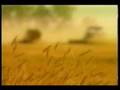 Adventistas-Pelicula