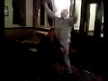 Baker Boy & Jane in the Tavern